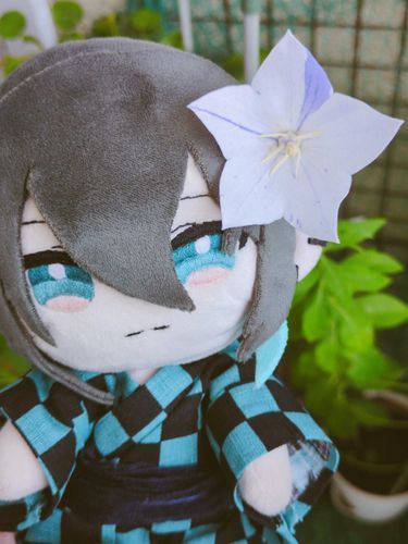 桔梗が咲いた。絞り咲きなんだって

