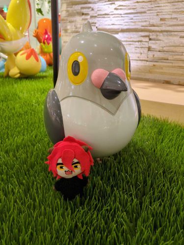 まめぱと