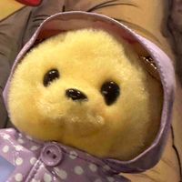 おい