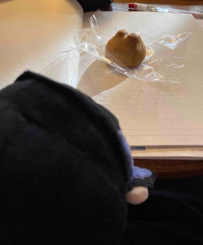 主　　貰った！
らい　なにこれ？
主　　カエルまんじゅう
らい　美味しい？
主　　美味しいよ、お芋の味！
らい　美味しそぉ…
主　　食べてみたら？
らい　いいの？…あ、美味しい！
主　　よかった！！