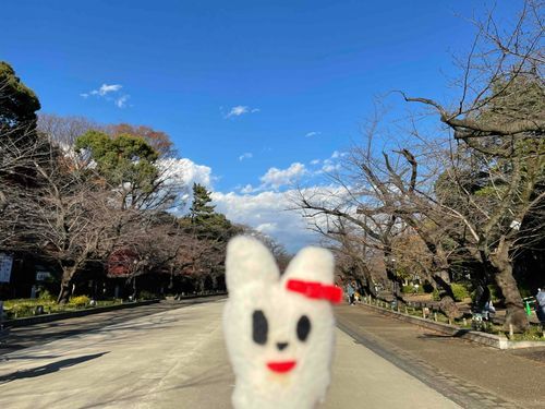 うさおと青空