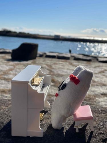 天気が良かったので海辺で弾き語りライブをしました。とってもきもちぃ