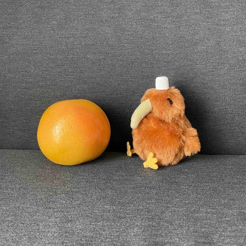 みなさん こんにちは みみげです
まいにち あついですね
このしゃしんは きょねんの キーウィです
オレンジが キーウィのからだと そっくりで おうちのひとに とってもらってました

おおきな じしんが ありましたが みんなはだいじょうぶでしたか？
ぼくは だいじょうぶでした
おおきな じしんが きたときに そなえて ちょっと じしん グッズを みなおします