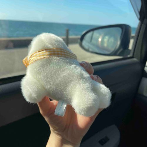 みなさん こんばんは みみげです
やっとおうちにかえってきました
まだ おうちのひとは ようじ があるみたいで バタバタとしています
おうえん しようと おもいます

これは りょこうのときに うみを みせてもらったときの しゃしんです
すごく きれいで じっと みていました
ちょっと ここで うみの うたを うたいたいと おもいます
うたっても もじだと きこえないですが  みなさんの そうぞうりょくで うたってると おもってください

うみは ひろいな おおきいな
つきが のぼるし ひは しずむ

うみは おおなみ あおい なみ
ゆれて どこまで つづくやら

うみに おふねを うかばせて
いって みたいな よそのくに

いじょうです