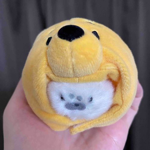 みなさん こんばんは みみげです
おうちのひとが だんがん ディズニーに いってきた そうです
すごく ひとが おおかったけど たのしかった みたいですよ
ぼくは まいごになると いけないので おるすばんでしたが おみやげを かってきてもらいました
プーさんの かぶりものです
ぼくは くびが ふといので ちょっと くるしかったけど なんとか かぶれました
いえの みんなで だれが いちばん ピッタリか ためした ところ あられが いちばん ピッタリでした
でも あられは たんき なので こんなに かわいいものを かぶせられて かわいくなってしまい おこっています
いまにも ガブリと かみついて きそうな はくりょくです
ぼくは かわいいのは いいとおもうけど あられは かっこいいほうが いいらしいです
ぼくが プーさんを かぶってる しゃしんは こんど とうこうします