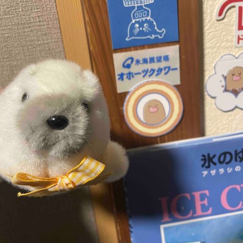 みなさん こんばんは ぼくですよ
さむくて ぼくが すんでるところは ゆきが ふりました
ぼくの からだの ケ のように おそとが しろく なりました

そういえば ぼくは プレミアム かいいん になりました
アイコンの おうかんが キラリと ひかっています
この おうかんの ために おうちのひとは プレミアムに はいろうと おもった そうです

このあいだ おうちのひとが ミスタードナーツをかってきたら ぼくに にている ひとが いました
ディグダさん というらしいです
ぼくは ディグダさんみたいに め が ニコリ としないので この め が いいな とおもいます
でも しらないあいだに ぼくも め が ニコリ としているかも しれません