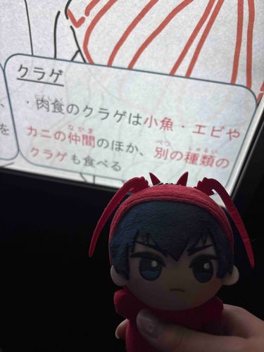 クラゲは天敵だぬ...
