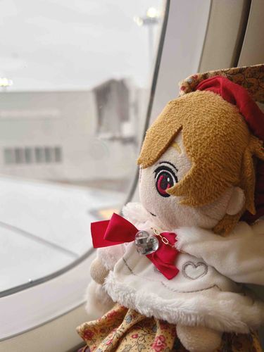 きょうから、こきょうのいわみにかえるの、ひこうきのるとわくわくしちゃうよね✈️
