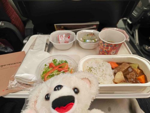 機内食だ〜✈️