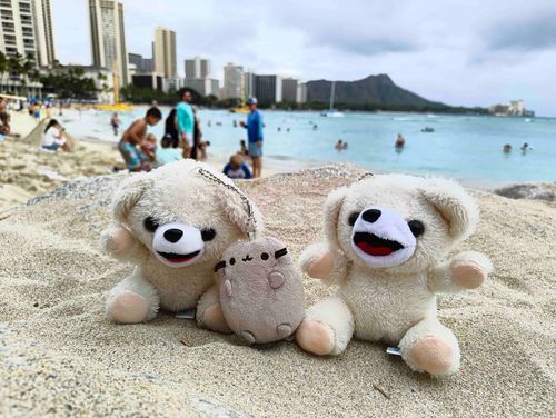 ハワイだ〜🏝️🏝️