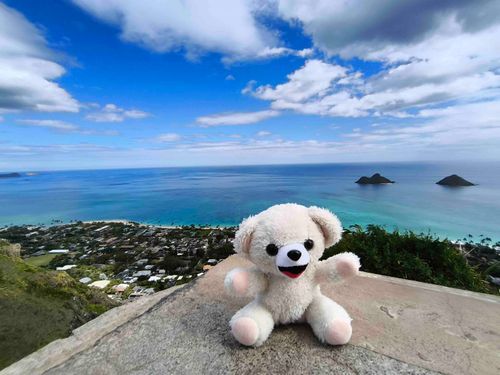 海が綺麗だ〜🏝️🏝️