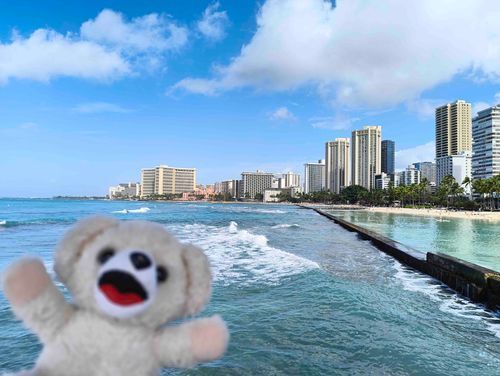 海が綺麗だ〜🏝️