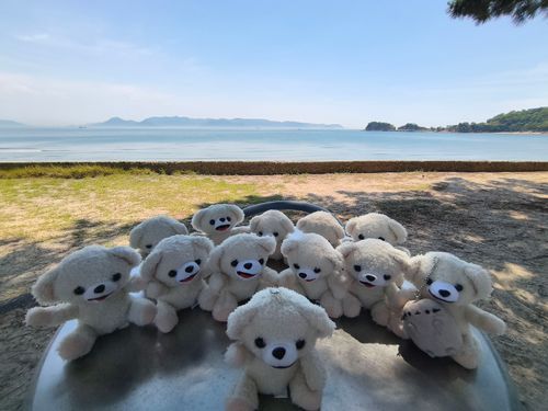 わ〜瀬戸内海だ〜！！🏝️🏝️