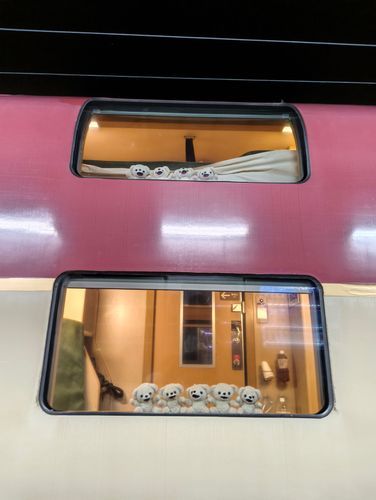 わーい♪
ぼくたち、サンライズエクスプレスをジャックしたよ〜✨