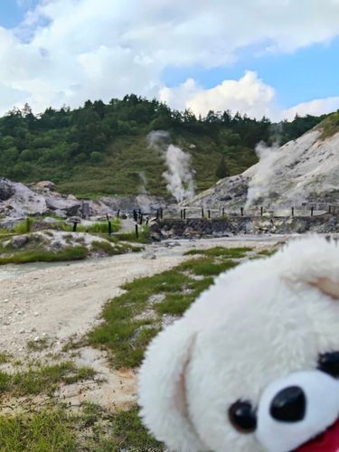 温泉だ〜♨️