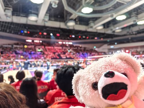 この前バレーボール見たよ🏐
🇯🇵優勝おめでとう🎉