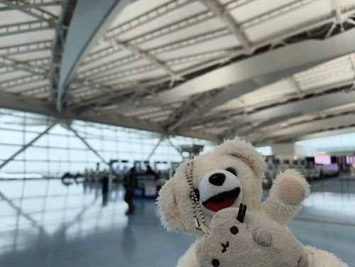 羽田空港だ〜✈️