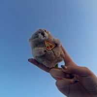 まーもっと