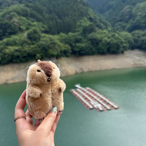 橋が畳まれていたので
湖横断できなくて唖然とする山本