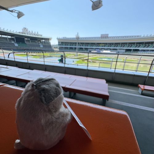 はじめての競輪に熱中するチャンキー