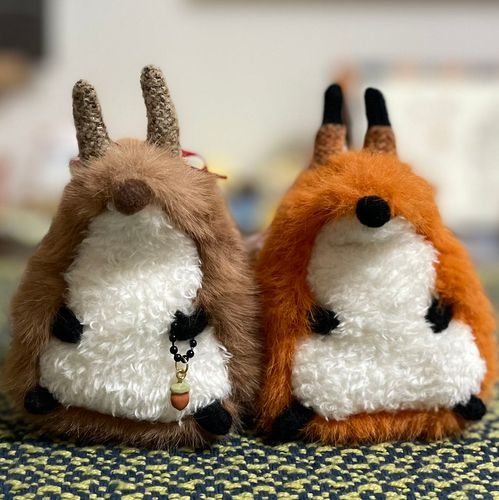 🐿️りっぴ
🦊ほっぴ
かいぬしのおでかけと出勤についていく