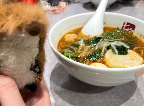 麻辣湯🐿️
具材えらぶのたのしかった
おいしかった🔥