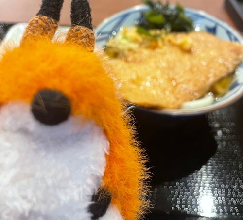 きつねうどん🦊
今日もいちにちおつかれさま