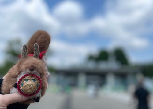 動物園にいきました🐿️