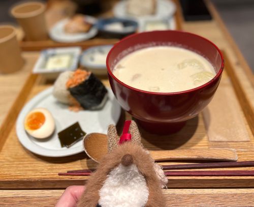ひさしぶりのおでかけ🐿️
豆乳のおみそしるに鮭のおにぎり