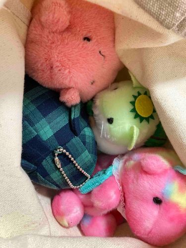 イツメン、緑とピンクだらけ