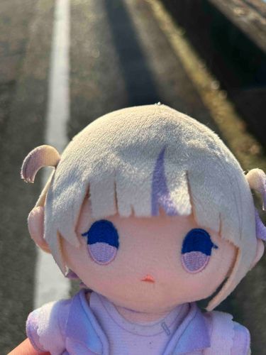 お散歩