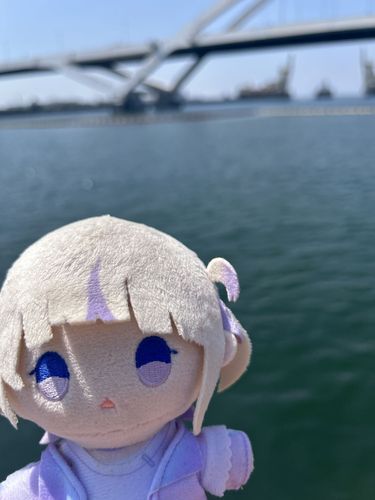🌊