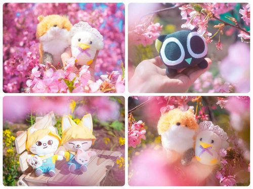 かいぬし：3月頭に滑り込みで河津桜と菜の花撮りに行ったんですが、可愛すぎました🥹🌸
久々にカメラ握って、上手く撮れなかったな〜🥲とその日は思ってたけど、改めて見ると可愛い写真たくさん撮れてました😭💖