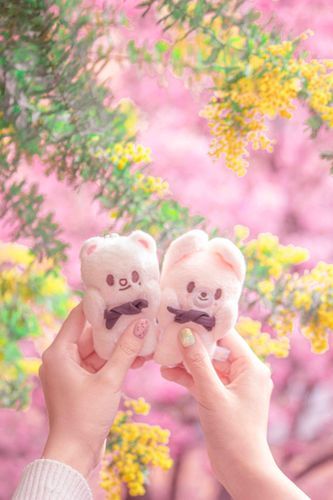 ミモザと河津桜💛🩷
(おててはかいぬしのお友達です)