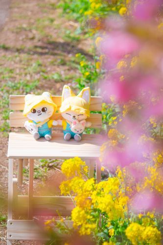 河津桜と菜の花とSKZOO
Jiniret FoxI.Ny 🐁🦊🌸🌼*･