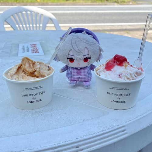 アイスの門番出張編🍨