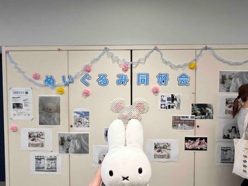 三連休で早稲田祭のぬいぐるみ同好会の展示を見てきたよ！
中は保健室みたいになってて、うさぽこは健康診断と絆創膏の処方をしてもらったよ！
うさぽこは最初緊張してたけど、色んなぬいぐるみさんとお友達になれて嬉しそうだった！(・×・)♪