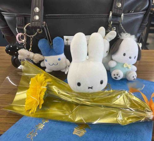 飼い主が学校を卒業したよ！
うさぽこも一緒に3年間通ったから高卒資格とったことになる…はず…
うさぽこ3年間着いてきてくれてありがとう！大学も一緒だよ！
