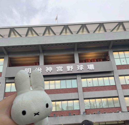 野球を見に行ってきたよ！
ヤクルトの応援だから、うさぽこと一緒に傘をフリフリしたよ☂️
31のアイスのカップが球場限定でヘルメット型なんだって！うさぽこピッタリサイズっぽかったから次行ったら買ってうさぽこに被せるよ(・×・)✨
