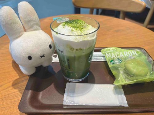 こないだスタバの限定を飲んできたよ！
うさぽこは上の白いふわふわを食べてご満悦(・×・)♪♪うさぽこ白い食べ物好きだもんね〜