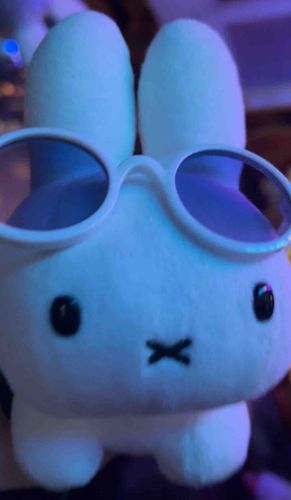 うさぽことぬいぐるみダンスパーティーに行ってきたよ💃
飼い主もうさぽこも初めての体験だったけどすごく楽しかった！
この日のためにかっこいいサングラスも買ったんだよ😎