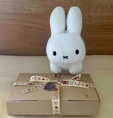 昨日の朝クリスマスプレゼントが届いてたよ🎁
中身はいちごの帽子とクローバーのマフラー🍓🍀
うさぽこ今年もいい子だったもんね！