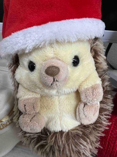 クリスマス終わっちゃったね