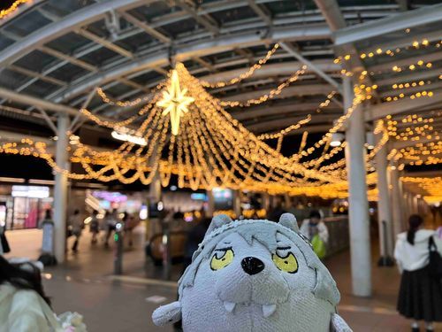 道がライトアップされてたぜ
もうすっかりクリスマスみて〜だな