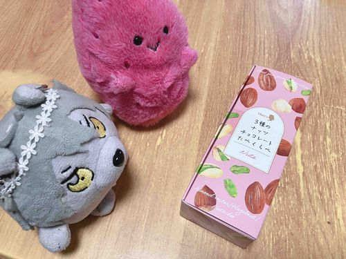 チョコレートもらったぜ🍫
1日おくれのバレンタインだな、テメ〜らはどんなバレンタインだったか？