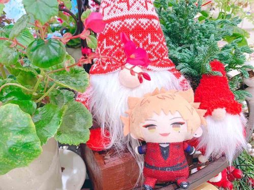 のーむが　いたから　いしょに　きねんさつえい　してきたぜ！📸