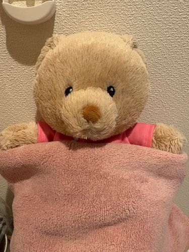 もふもふタオルをかけてもらったちょこちゃん✨
涼しい冷房の部屋に
もふもふタオルの組み合わせほど良いものは無いよね💕︎
