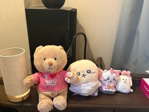 実家に到着🏠
ちょこくんは東京出身なので、
この田舎の空気は初めて🥰
今日は窓を開けてたくさんお日様を浴びてぬくぬくしてたよ🔅
