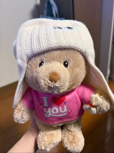 ( ˙꒳​˙  )oh......
重そうな帽子を被せられたちょこくん。しかも冬仕様🤣

