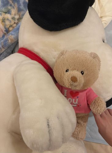 可愛いお二人（*＾-＾*）
大きなスヌーピーはママが小さい頃からずっと実家にいる子🏠なので、ちょこちゃんの事も可愛がってくれると嬉しいですね🥰
